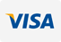 Visa Card Icon